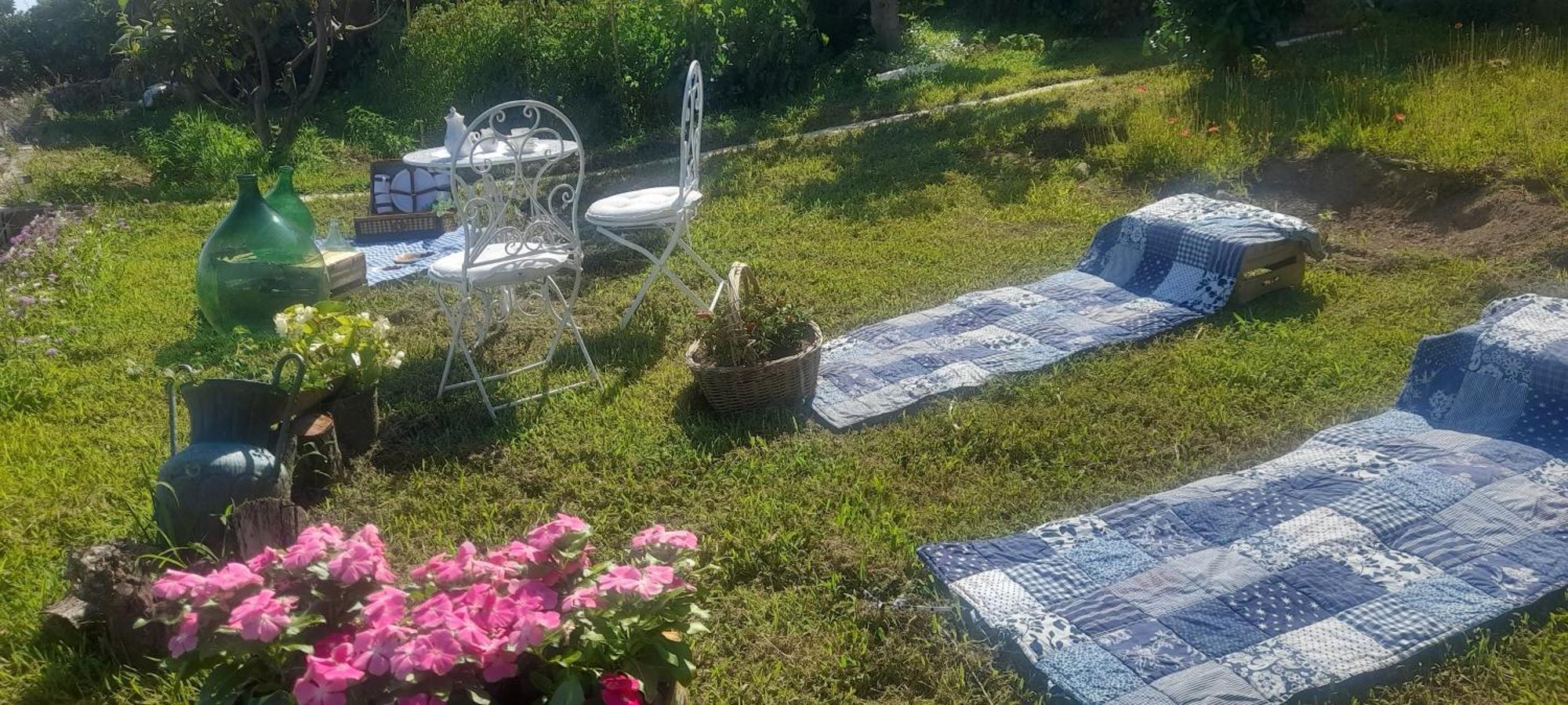קונקה דיי מריני Villa Lucia מראה חיצוני תמונה