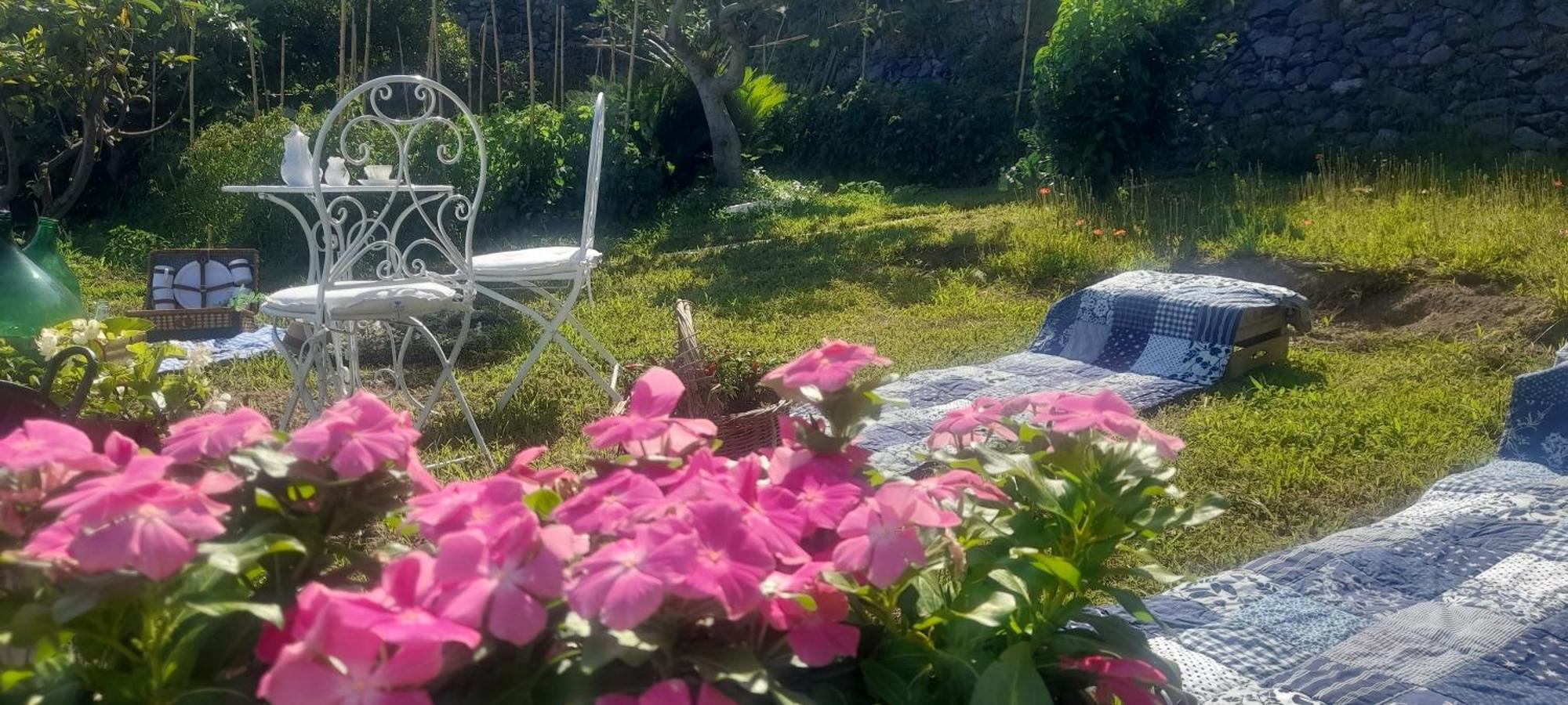 קונקה דיי מריני Villa Lucia מראה חיצוני תמונה